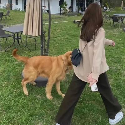我的小公主