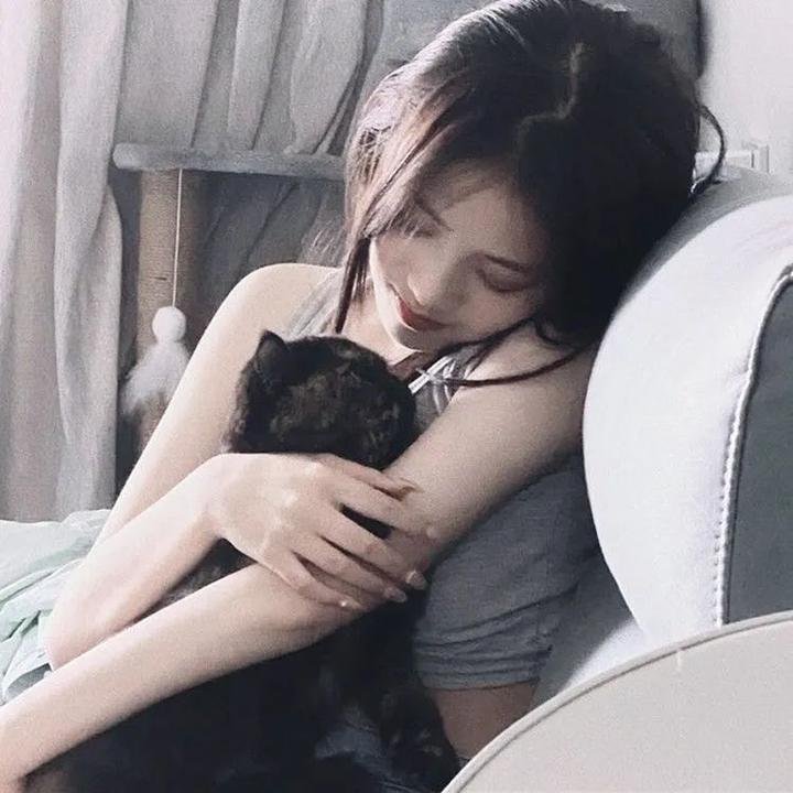 条约