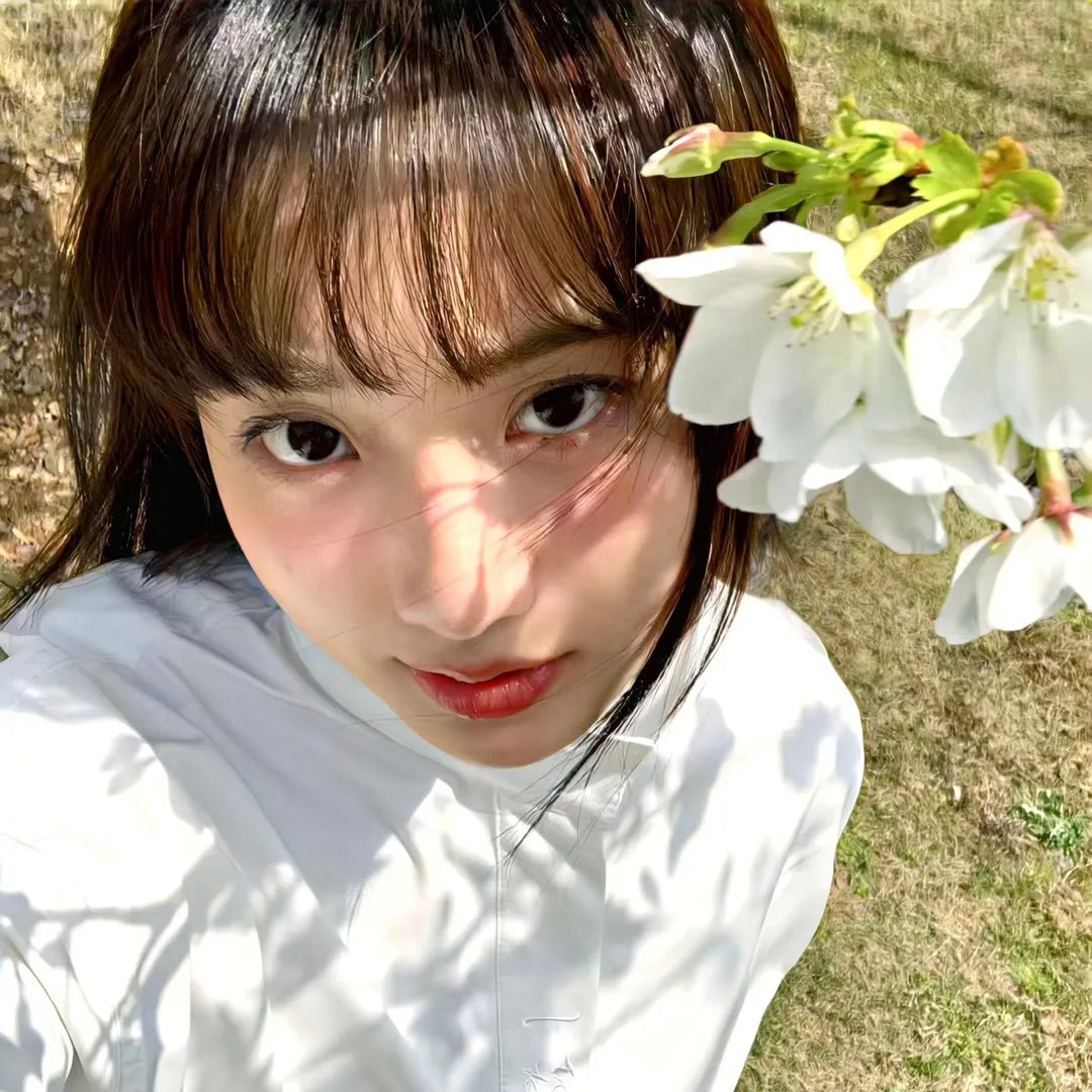 大蟒蛇2：血兰花